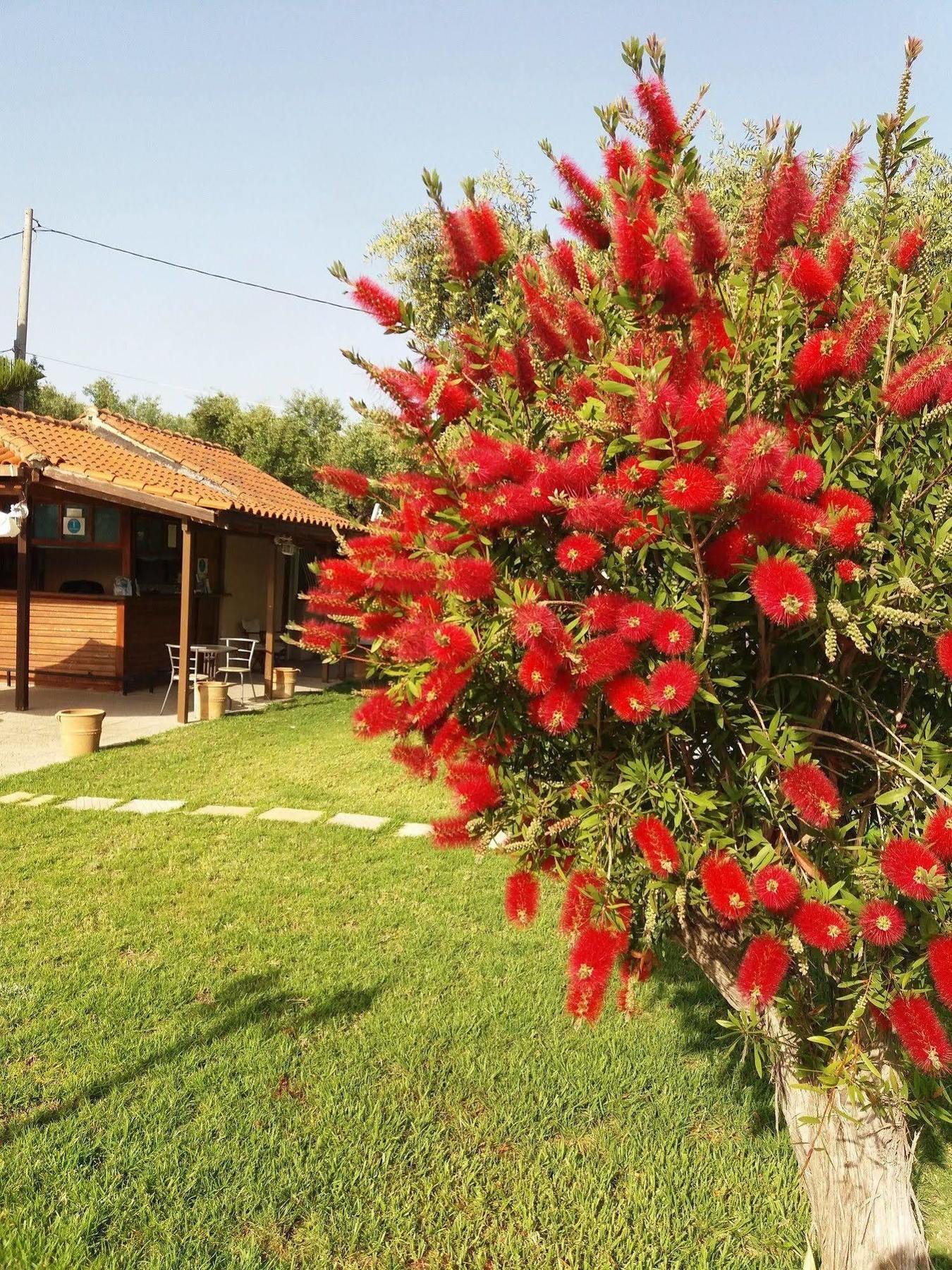Sole E Mare Apartments Tsilivi  Exterior foto