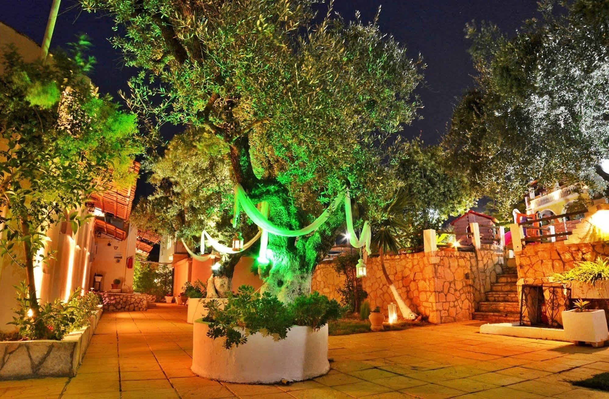 Sole E Mare Apartments Tsilivi  Exterior foto